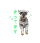 HappyCheese2020（個別スタンプ：12）