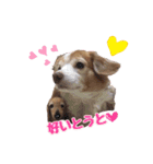 らぶてつ。（個別スタンプ：1）