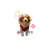 らぶてつ。（個別スタンプ：4）