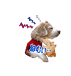 らぶてつ。（個別スタンプ：5）