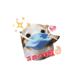 らぶてつ。（個別スタンプ：6）