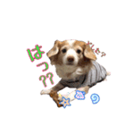 らぶてつ。（個別スタンプ：8）