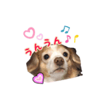 らぶてつ。（個別スタンプ：10）