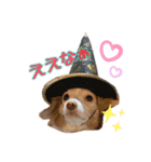 らぶてつ。（個別スタンプ：11）