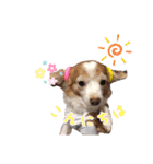 らぶてつ。（個別スタンプ：13）