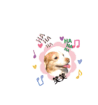 らぶてつ。（個別スタンプ：14）