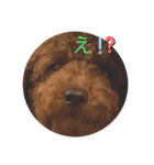 〈ルアの1日〉（個別スタンプ：6）