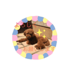 〈ルアの1日〉（個別スタンプ：8）