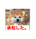 緑三郎636（個別スタンプ：2）