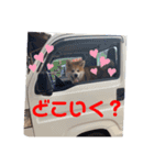 緑三郎636（個別スタンプ：8）