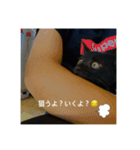 癖の強い我が猫。（個別スタンプ：1）