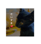 癖の強い我が猫。（個別スタンプ：11）