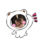 フレンチブルふじこさん（個別スタンプ：1）