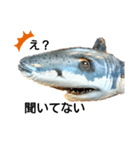 サメ好きのサメスタンプ（個別スタンプ：10）