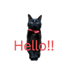 黒猫ひじきの日常PART2（個別スタンプ：3）