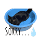 黒猫ひじきの日常PART2（個別スタンプ：7）
