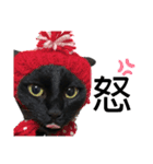 黒猫ひじきの日常PART2（個別スタンプ：8）
