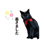 黒猫ひじきの日常PART2（個別スタンプ：10）