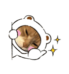 ふくすたんぷ2（個別スタンプ：16）