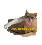 ふくすたんぷ2（個別スタンプ：18）