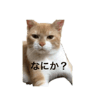 ふくすたんぷ2（個別スタンプ：19）