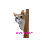 ふくすたんぷ2（個別スタンプ：20）