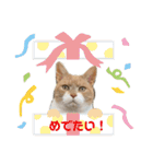ふくすたんぷ2（個別スタンプ：22）