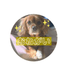 おうぴちゃん②（個別スタンプ：2）