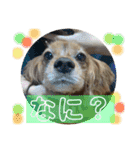 おうぴちゃん②（個別スタンプ：5）