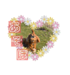 おうぴちゃん②（個別スタンプ：9）