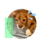 おうぴちゃん②（個別スタンプ：10）