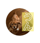 おうぴちゃん②（個別スタンプ：11）