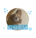 おうぴちゃん②（個別スタンプ：15）