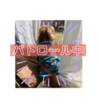 おうぴちゃん②（個別スタンプ：16）