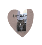 わたぴときき（個別スタンプ：8）