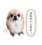 しずくの基本スタイル（個別スタンプ：3）