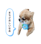 しずくの基本スタイル（個別スタンプ：4）