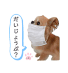 しずくの基本スタイル（個別スタンプ：6）