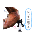 しずくの基本スタイル（個別スタンプ：9）