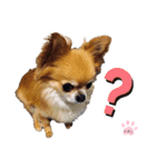 しずくの基本スタイル（個別スタンプ：10）