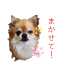 しずくの基本スタイル（個別スタンプ：13）