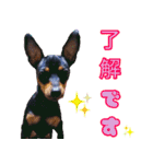 LovelyMini pin's   2（個別スタンプ：3）