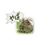 ロンのひとこと（個別スタンプ：2）