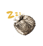ロンのひとこと（個別スタンプ：12）