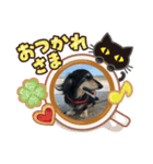 ランちゃん スタンプ3（個別スタンプ：6）