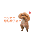かみなり兄弟とぴと。（個別スタンプ：16）