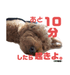 かみなり兄弟とぴと。（個別スタンプ：19）