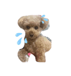 森ココちゃん（個別スタンプ：1）