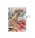 森ココちゃん（個別スタンプ：5）