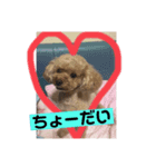 森ココちゃん（個別スタンプ：7）